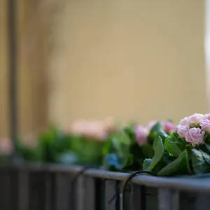 Appartement Pgrhome Croce, Rome
